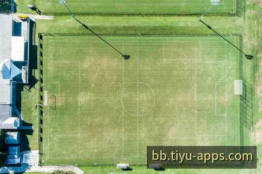 BB平台 掌上体育赛事互动客户端界面